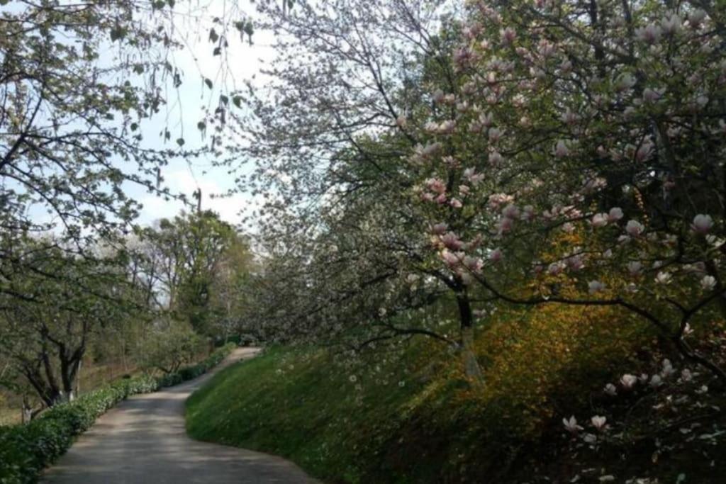 Cozzy Apartment In Nature Zagrzeb Zewnętrze zdjęcie